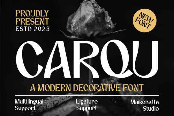 Carqu: A Bold Typographic Adventure