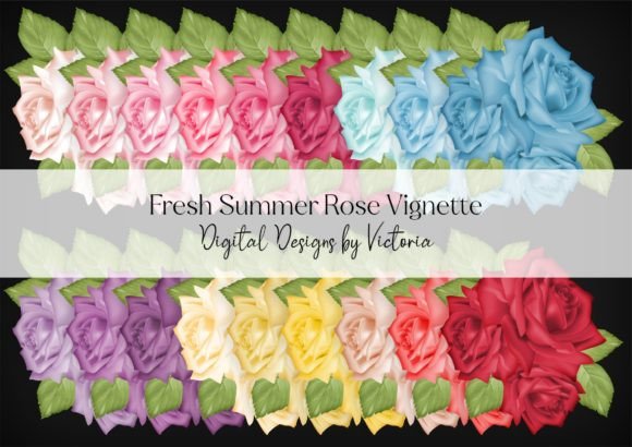 Fresh Summer Rose Vignette