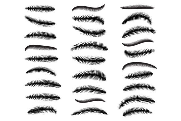 Tropical Palm Leaf Vector Silhouette: A Versatile Design Asset for Creative Workflows