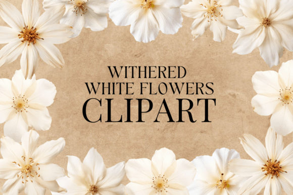 Withered White Flowers Realistic Clipart: A Timeless Addition to Your Digital Projects